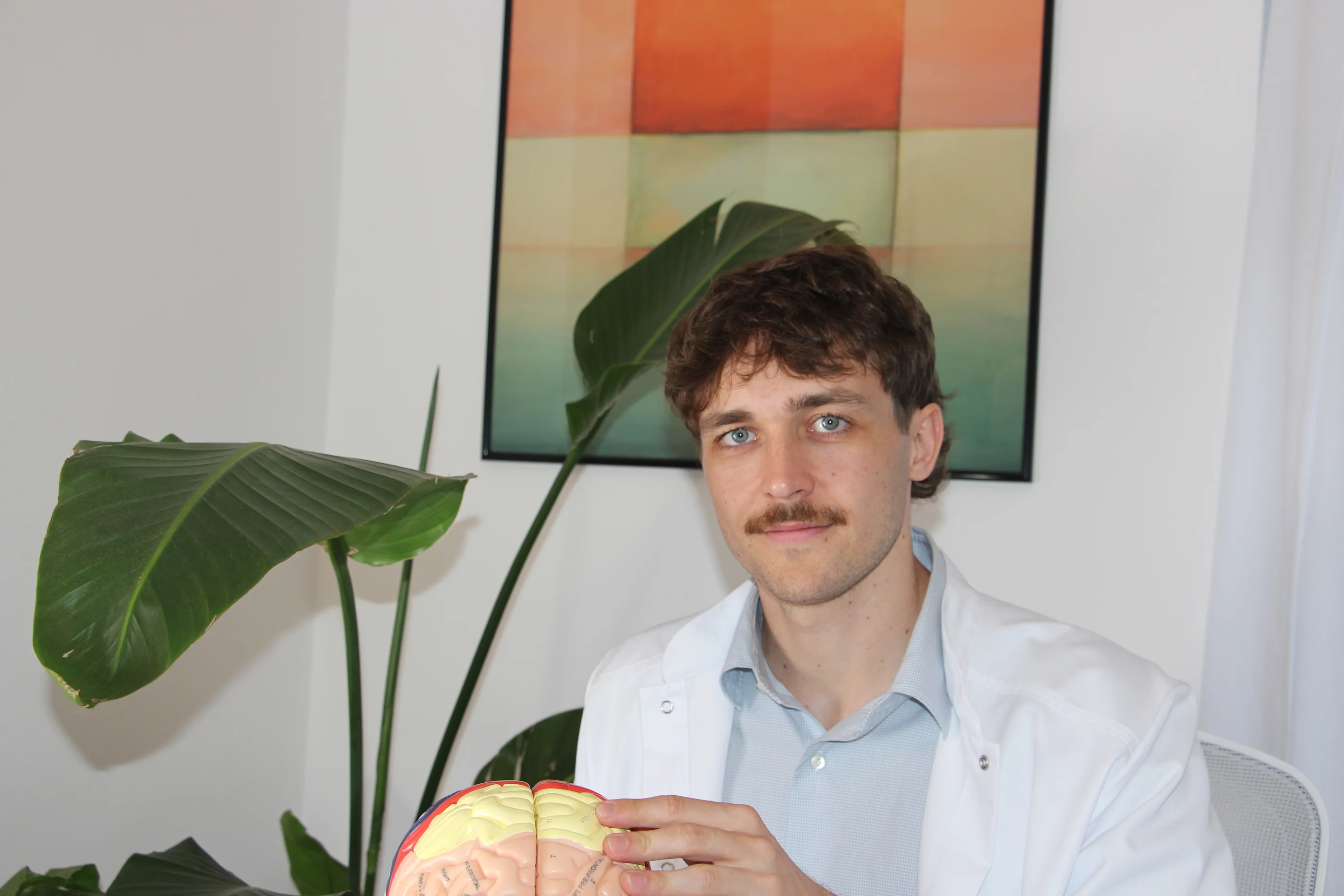 Anatomik beyin modeliyle Dr. Tim Schwarz