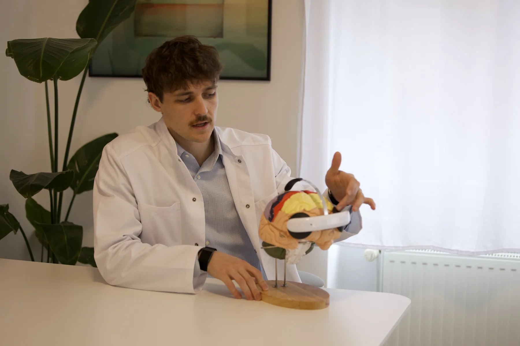 Dr. Tim Schwarz beyin modeli üzerinde tDCS için Flow başlığını anlatıyor
